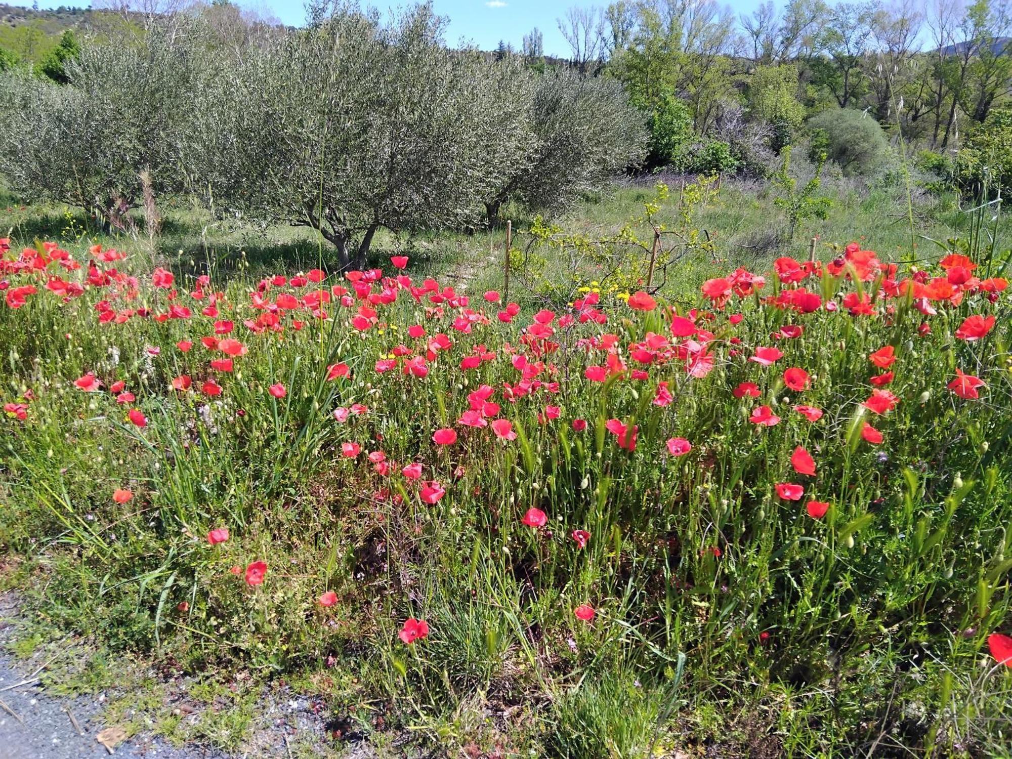 Appartement De Ville Medievale Vinca Zewnętrze zdjęcie